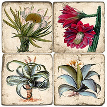 Load image into Gallery viewer, Set of four square tiles with illustrations of desert plants on a beige background
