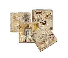 Load image into Gallery viewer, Set of four decorative coasters with vintage-style ephemera illustrations.
